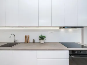 Prodej bytu 4+kk, Praha - Žižkov, Pod lipami, 74 m2