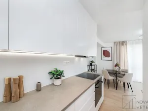 Prodej bytu 4+kk, Praha - Žižkov, Pod lipami, 74 m2
