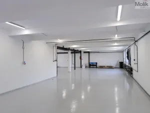 Pronájem skladu, Ledvice, Mírová, 198 m2