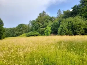 Pronájem pole, Kopřivnice, 510 m2