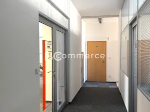 Pronájem kanceláře, Brno, Cejl, 103 m2