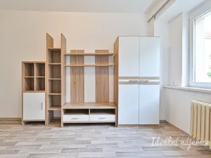 Pronájem bytu 2+1, Brno - Ponava, Botanická, 54 m2