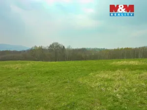 Prodej louky, Stružnice, 55278 m2