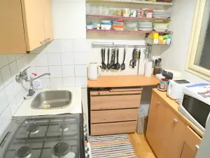 Prodej bytu 1+kk, Praha - Vršovice, Ruská, 39 m2