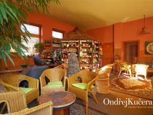 Prodej činžovního domu, Kladno, Osvoboz. pol. vězňů, 1000 m2