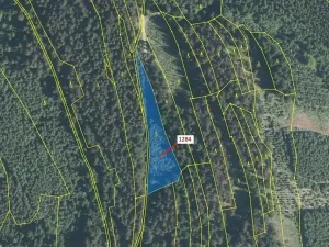 Dražba lesa, Lačnov, 3805 m2