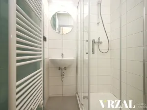 Pronájem bytu 2+kk, Plzeň, Francouzská třída, 33 m2