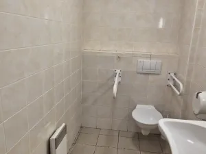 Pronájem obchodního prostoru, Ostrava - Svinov, Fibichova, 78 m2