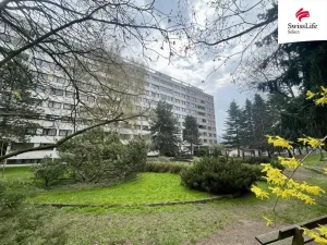 Prodej bytu 3+1, Náchod, Bílkova, 60 m2