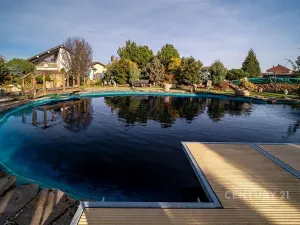 Prodej rodinného domu, Žabovřesky, 285 m2