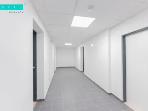 Pronájem bytu 2+kk, Olomouc - Nové Sady, Věry Pánkové, 70 m2