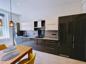 Prodej bytu 2+1, Ústí nad Labem - Ústí nad Labem-centrum, Palachova, 62 m2