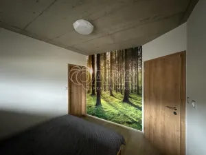 Pronájem bytu 3+kk, Hamr na Jezeře, Za Jezerem, 80 m2