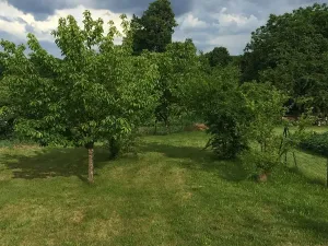 Prodej pozemku pro bydlení, Kyškovice, 1702 m2