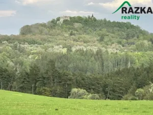 Prodej komerčního pozemku, Lestkov - Domaslav, 4866 m2