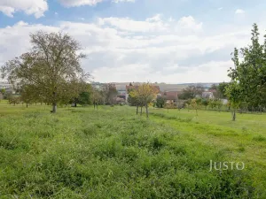 Prodej pozemku pro bydlení, Těmice, 2331 m2