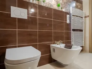 Prodej vícegeneračního domu, Litomyšl, Smetanovo náměstí, 459 m2