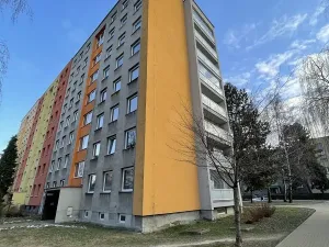 Pronájem bytu 1+1, Nový Jičín, Riegrova, 29 m2