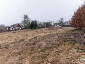 Prodej pozemku pro bydlení, Tvrdkov, 2807 m2