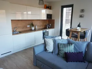 Prodej bytu 2+kk, Praha - Žižkov, Olšanská, 62 m2