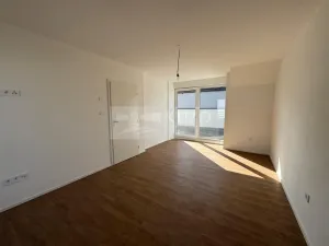 Pronájem rodinného domu, Mladá Boleslav - Debř, Láskov, 165 m2