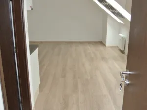 Pronájem bytu 1+kk, Frýdek-Místek, tř. T. G. Masaryka, 39 m2