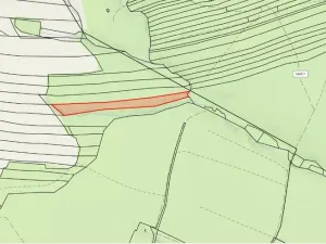 Prodej lesa, Borovany - Trocnov, 9174 m2