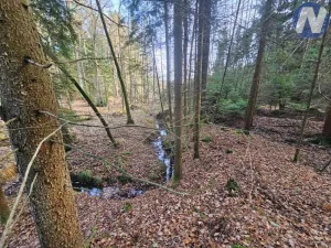Prodej lesa, Borovany - Trocnov, 9174 m2