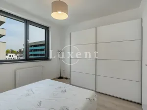 Pronájem bytu 3+kk, Praha - Žižkov, Olgy Havlové, 73 m2