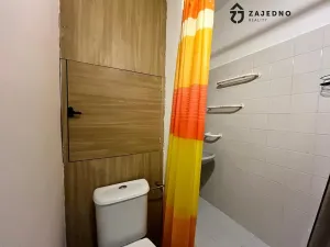 Pronájem bytu 1+kk, Brno, Vídeňská, 30 m2