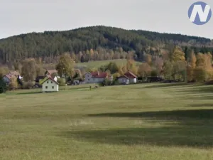 Prodej pozemku pro bydlení, Zdíkov, 18188 m2