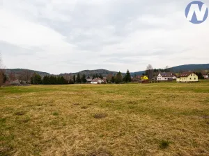 Prodej pozemku pro bydlení, Zdíkov, 18188 m2