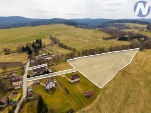 Prodej pozemku pro bydlení, Zdíkov, 18188 m2