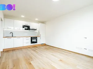 Prodej bytu 2+kk, Opava, Ratibořská, 35 m2