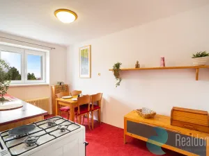 Prodej bytu 2+1, Jihlava, Vrchlického, 54 m2