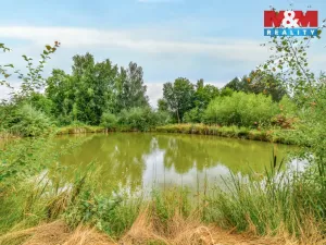 Prodej komerčního pozemku, Cheb - Bříza, 3265 m2