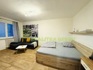 Pronájem bytu 1+1, Vsetín, Luh, 40 m2