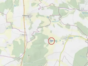 Prodej lesa, Štoky, 6941 m2