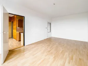 Prodej bytu 3+1, Tábor, 83 m2