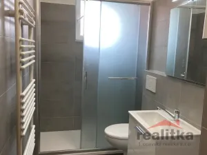 Pronájem bytu 2+kk, Opava - Předměstí, Těšínská, 35 m2