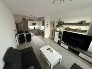 Pronájem bytu 2+kk, Brno, Svážná, 48 m2