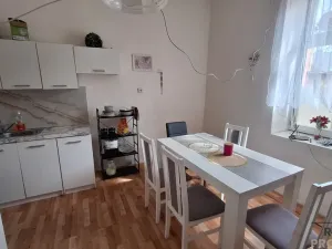 Prodej činžovního domu, Trmice, U Mlýnského potoka, 229 m2