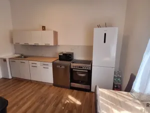 Prodej činžovního domu, Trmice, U Mlýnského potoka, 229 m2