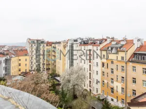 Pronájem bytu 3+kk, Praha - Vinohrady, Šumavská, 104 m2