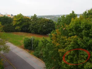 Pronájem bytu 4+kk, Praha, Nad Turbovou, 88 m2