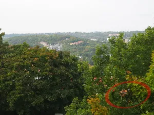 Pronájem bytu 4+kk, Praha, Nad Turbovou, 88 m2