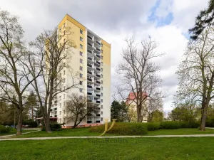 Prodej bytu 3+1, Olomouc - Nová Ulice, Pionýrská, 63 m2