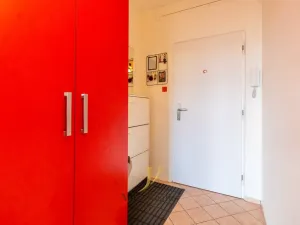 Prodej bytu 3+1, Olomouc - Nová Ulice, Pionýrská, 63 m2