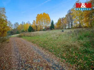 Prodej pozemku pro bydlení, Vlašim - Nesperská Lhota, 1000 m2