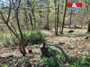 Prodej chaty, Svatý Jan pod Skalou - Záhrabská, Na Výsluní, 148 m2